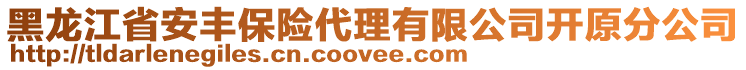 黑龍江省安豐保險代理有限公司開原分公司