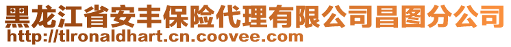 黑龙江省安丰保险代理有限公司昌图分公司