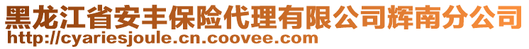 黑龍江省安豐保險代理有限公司輝南分公司