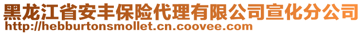 黑龙江省安丰保险代理有限公司宣化分公司