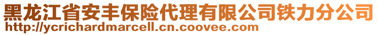 黑龍江省安豐保險代理有限公司鐵力分公司