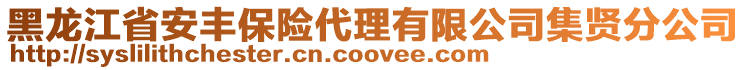 黑龙江省安丰保险代理有限公司集贤分公司