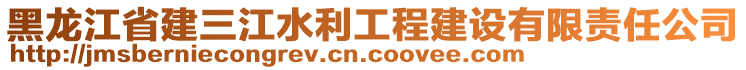 黑龍江省建三江水利工程建設(shè)有限責(zé)任公司