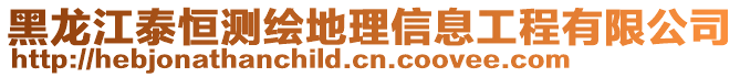 黑龍江泰恒測繪地理信息工程有限公司