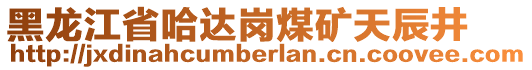 黑龍江省哈達崗煤礦天辰井