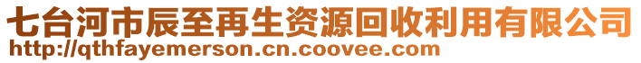 七臺(tái)河市辰至再生資源回收利用有限公司