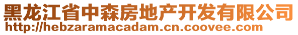 黑龍江省中森房地產開發(fā)有限公司