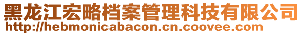 黑龍江宏略檔案管理科技有限公司