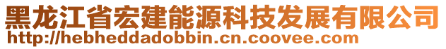 黑龍江省宏建能源科技發(fā)展有限公司