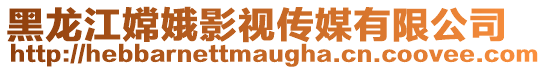 黑龍江嫦娥影視傳媒有限公司