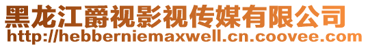 黑龍江爵視影視傳媒有限公司