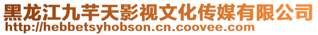 黑龍江九芊天影視文化傳媒有限公司