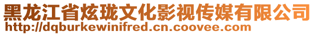 黑龍江省炫瓏文化影視傳媒有限公司