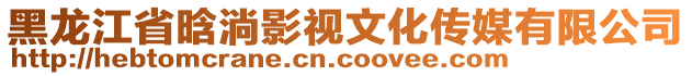 黑龍江省晗淌影視文化傳媒有限公司