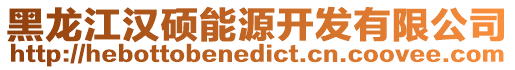黑龍江漢碩能源開發有限公司