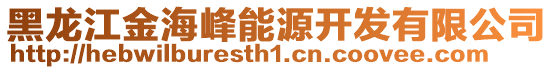 黑龍江金海峰能源開發有限公司