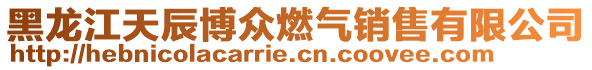 黑龍江天辰博眾燃氣銷售有限公司