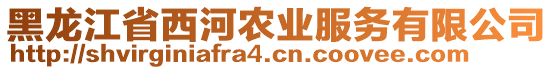 黑龍江省西河農(nóng)業(yè)服務(wù)有限公司