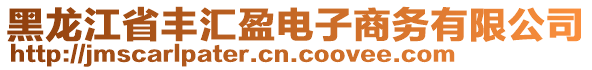 黑龍江省豐匯盈電子商務(wù)有限公司