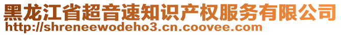 黑龍江省超音速知識產(chǎn)權(quán)服務(wù)有限公司