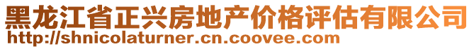 黑龍江省正興房地產(chǎn)價(jià)格評估有限公司