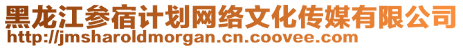 黑龍江參宿計劃網(wǎng)絡(luò)文化傳媒有限公司