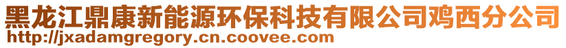 黑龍江鼎康新能源環(huán)?？萍加邢薰倦u西分公司