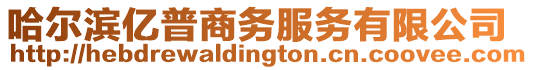 哈爾濱億普商務(wù)服務(wù)有限公司