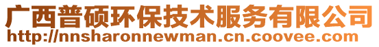 廣西普碩環(huán)保技術(shù)服務(wù)有限公司