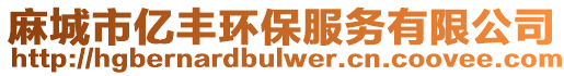 麻城市億豐環(huán)保服務(wù)有限公司