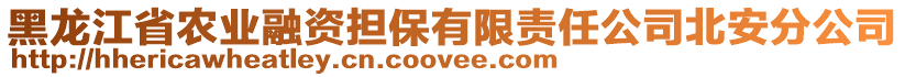 黑龍江省農(nóng)業(yè)融資擔保有限責任公司北安分公司