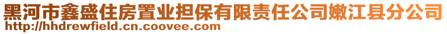 黑河市鑫盛住房置業(yè)擔(dān)保有限責(zé)任公司嫩江縣分公司