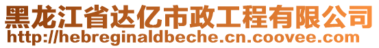 黑龍江省達(dá)億市政工程有限公司