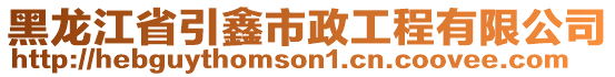 黑龍江省引鑫市政工程有限公司