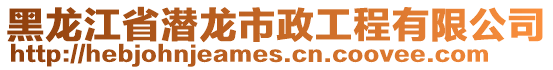 黑龍江省潛龍市政工程有限公司