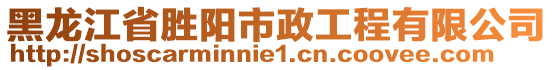 黑龍江省勝陽市政工程有限公司