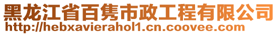 黑龍江省百雋市政工程有限公司