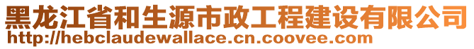 黑龍江省和生源市政工程建設(shè)有限公司