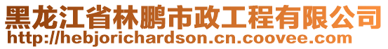 黑龍江省林鵬市政工程有限公司