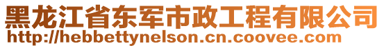 黑龍江省東軍市政工程有限公司