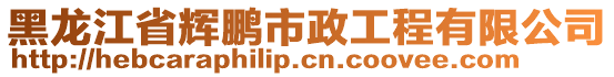 黑龍江省輝鵬市政工程有限公司