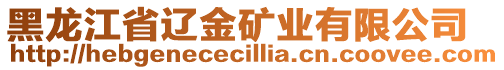 黑龍江省遼金礦業(yè)有限公司