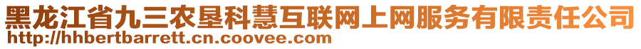 黑龍江省九三農(nóng)墾科慧互聯(lián)網(wǎng)上網(wǎng)服務(wù)有限責(zé)任公司