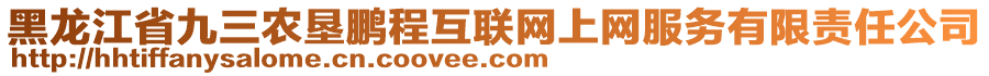 黑龍江省九三農(nóng)墾鵬程互聯(lián)網(wǎng)上網(wǎng)服務(wù)有限責(zé)任公司