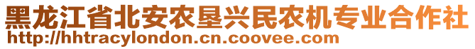 黑龍江省北安農(nóng)墾興民農(nóng)機專業(yè)合作社