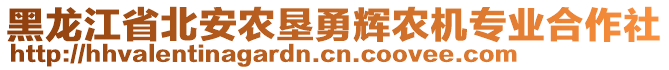 黑龍江省北安農(nóng)墾勇輝農(nóng)機(jī)專(zhuān)業(yè)合作社