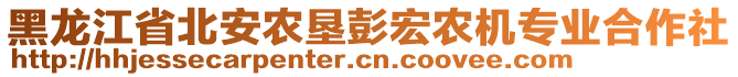 黑龍江省北安農(nóng)墾彭宏農(nóng)機(jī)專業(yè)合作社