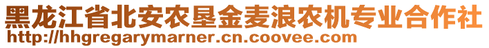 黑龍江省北安農(nóng)墾金麥浪農(nóng)機專業(yè)合作社