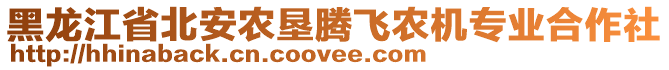 黑龍江省北安農(nóng)墾騰飛農(nóng)機(jī)專業(yè)合作社