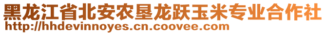 黑龍江省北安農(nóng)墾龍躍玉米專業(yè)合作社